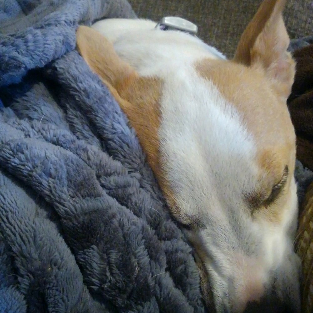 Meet your Posher, Marlynda